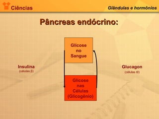 Ciências Glândulas e hormônios
Pâncreas endócrino:Pâncreas endócrino:
Glucagon
(células α)
Insulina
(células β)
Glicose
no
Sangue
Glicose
nas
Células
(Glicogênio)
 