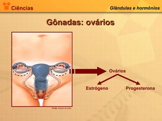 Ciências Glândulas e hormônios
Gônadas: ováriosGônadas: ovários
Fonte: Arquivo do autor
Ovários
ProgesteronaEstrógeno
 