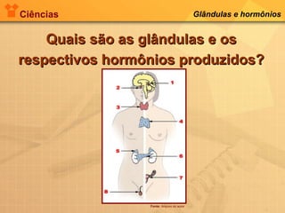 Ciências Glândulas e hormônios
Quais são as glândulas e osQuais são as glândulas e os
respectivos hormônios produzidos?respectivos hormônios produzidos?
Fonte: Arquivo do autor
 