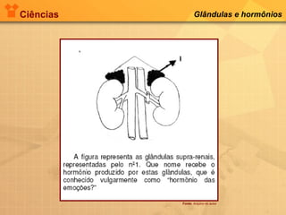 Ciências Glândulas e hormônios
Fonte: Arquivo do autor
 