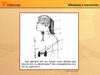 Ciências Glândulas e hormônios
Fonte: Arquivo do autor
 