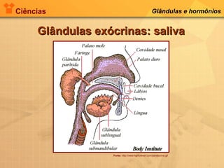 Ciências Glândulas e hormônios
Glândulas exócrinas: salivaGlândulas exócrinas: saliva
Fonte: http://www.hghforever.com/pendocrine.gif
 