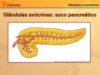 Ciências Glândulas e hormônios
Glândulas exócrinas: suco pancreáticoGlândulas exócrinas: suco pancreático
Fonte: http://www.dkimages.com/discover/previews/961/50312108.JPG
 