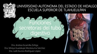 UNIVERSIDAD AUTONOMA DEL ESTADO DE HIDALGO
ESCUELA SUPERIOR DE TLAHUELILPAN
Funciones
secretoras del tubo
digestivo
Dra. Andrea Escamilla Zúñiga
Dra. Mireya Guadalupe Moctezuma Sánchez
Dra. Judit Aurora Rodríguez López
 