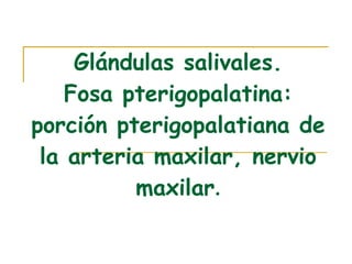 Glándulas salivales. Fosa pterigopalatina: porción pterigopalatiana de la arteria maxilar, nervio maxilar . 