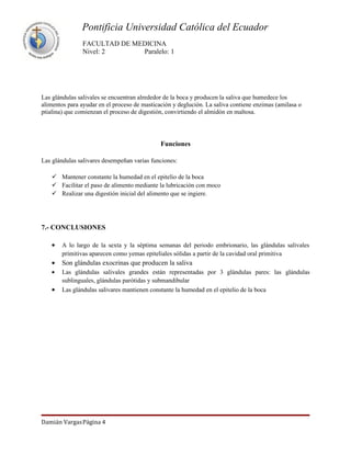 Pontificia Universidad Católica del Ecuador
                FACULTAD DE MEDICINA
                Nivel: 2      Paralelo: 1




Las glándulas salivales se encuentran alrededor de la boca y producen la saliva que humedece los
alimentos para ayudar en el proceso de masticación y deglución. La saliva contiene enzimas (amilasa o
ptialina) que comienzan el proceso de digestión, convirtiendo el almidón en maltosa.




                                              Funciones

Las glándulas salivares desempeñan varias funciones:

     Mantener constante la humedad en el epitelio de la boca
     Facilitar el paso de alimento mediante la lubricación con moco
     Realizar una digestión inicial del alimento que se ingiere.




7.- CONCLUSIONES

    •   A lo largo de la sexta y la séptima semanas del periodo embrionario, las glándulas salivales
        primitivas aparecen como yemas epiteliales sólidas a partir de la cavidad oral primitiva
    •   Son glándulas exocrinas que producen la saliva
    •   Las glándulas salivales grandes están representadas por 3 glándulas pares: las glándulas
        sublinguales, glándulas parótidas y submandibular
    •   Las glándulas salivares mantienen constante la humedad en el epitelio de la boca




Damián VargasPágina 4
 