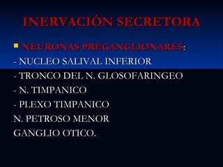 INERVACIÓN SECRETORA
NEURONAS PREGANGLIONARES:
- NUCLEO SALIVAL INFERIOR
- TRONCO DEL N. GLOSOFARINGEO
- N. TIMPANICO
- PLEXO TIMPANICO
N. PETROSO MENOR
GANGLIO OTICO.


 