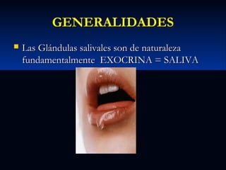 GENERALIDADES


Las Glándulas salivales son de naturaleza
fundamentalmente EXOCRINA = SALIVA

 