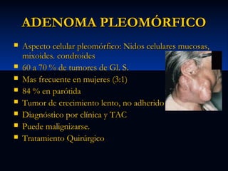 ADENOMA PLEOMÓRFICO









Aspecto celular pleomórfico: Nidos celulares mucosas,
mixoides. condroides
60 a 70 % de tumores de Gl. S.
Mas frecuente en mujeres (3:1)
84 % en parótida
Tumor de crecimiento lento, no adherido
Diagnóstico por clínica y TAC
Puede malignizarse.
Tratamiento Quirúrgico

 