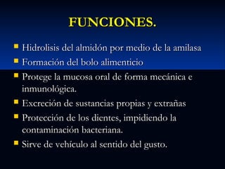 FUNCIONES.









Hidrolisis del almidón por medio de la amilasa
Formación del bolo alimenticio
Protege la mucosa oral de forma mecánica e
inmunológica.
Excreción de sustancias propias y extrañas
Protección de los dientes, impidiendo la
contaminación bacteriana.
Sirve de vehículo al sentido del gusto.

 