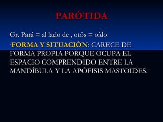 PARÓTIDA
Gr. Pará = al lado de , otós = oído
-FORMA Y SITUACIÓN: CARECE DE
FORMA PROPIA PORQUE OCUPA EL
ESPACIO COMPRENDIDO ENTRE LA
MANDÍBULA Y LA APÓFISIS MASTOIDES.

 