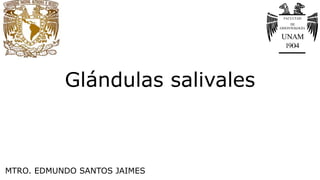 Glándulas salivales
MTRO. EDMUNDO SANTOS JAIMES
 