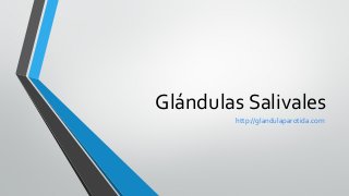 Glándulas Salivales
http://glandulaparotida.com
 