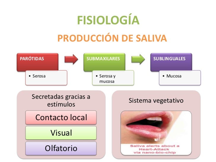 Imagen relacionada