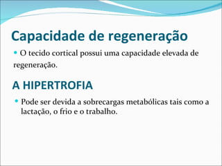 Capacidade de regeneração O tecido cortical possui uma capacidade elevada de regeneração. A HIPERTROFIA Pode ser devida a sobrecargas metabólicas tais como a lactação, o frio e o trabalho. 
