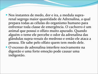 Nos instantes de medo, dor e ira, a medula supra-renal segrega maior quantidade de Adrenalina, a qual prepara todas as células do organismo humano para enfrentar toda classe de emergência. O cachorro é um animal que possui o olfato muito apurado. Quando alguém o teme ele percebe o odor da adrenalina das glândulas supra-renais do medroso e então ele ataca a pessoa. Ele sabe pelo olfato quem tem medo dele.  O excesso de adrenalina interfere nocivamente na digestão e uma forte emoção pode causar uma indigestão. 