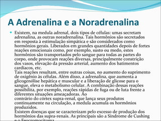 A Adrenalina e a Noradrenalina Existem, na medula adrenal, dois tipos de células: umas secretam adrenalina, as outras noradrenalina. Tais hormônios são secretados em resposta à estimulação simpática e são considerados como hormônios gerais. Liberados em grandes quantidades depois de fortes reações emocionais como, por exemplo, susto ou medo, estes hormônios são transportados pelo sangue para todas as partes do corpo, onde provocam reações diversas, principalmente constrição dos vasos, elevação da pressão arterial, aumento dos batimentos cardíacos, etc. Tais reações resultam, entre outras coisas, no aumento do suprimento de oxigênio às células. Além disso, a adrenalina, que aumenta a glicogenólise hepática e muscular e a liberação de glicose para o sangue, eleva o metabolismo celular. A combinação dessas reações possibilita, por exemplo, reações rápidas de fuga ou de luta frente a diferentes situações ameaçadoras. Ao contrário do córtex supra-renal, que lança seus produtos continuamente na circulação, a medula acumula os hormônios produzidos. Existem doenças que se caracterizam pelo excesso de produção dos hormônios das supra-renais. As principais são a Síndrome de Cushing e o Feocromocitoma. 