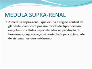 MEDULA SUPRA-RENAL A medula supra-renal, que ocupa a região central da glândula, composta por um tecido do tipo nervoso, englobando células especializadas na produção de hormonas, cuja secreção é controlada pela actividade do sistema nervoso autónomo. 