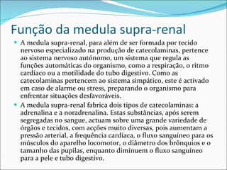 Função da medula supra-renal A medula supra-renal, para além de ser formada por tecido nervoso especializado na produção de catecolaminas, pertence ao sistema nervoso autónomo, um sistema que regula as funções automáticas do organismo, como a respiração, o ritmo cardíaco ou a motilidade do tubo digestivo. Como as catecolaminas pertencem ao sistema simpático, este é activado em caso de alarme ou stress, preparando o organismo para enfrentar situações desfavoráveis. A medula supra-renal fabrica dois tipos de catecolaminas: a adrenalina e a noradrenalina. Estas substâncias, após serem segregadas no sangue, actuam sobre uma grande variedade de órgãos e tecidos, com acções muito diversas, pois aumentam a pressão arterial, a frequência cardíaca, o fluxo sanguíneo para os músculos do aparelho locomotor, o diâmetro dos brônquios e o tamanho das pupilas, enquanto diminuem o fluxo sanguíneo para a pele e tubo digestivo. 