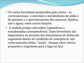 Os vários hormônios produzidos pelo córtex - as corticosteronas - controlam o metabolismo do sódio e do potássio e o aproveitamento dos açúcares, lipídios, sais e águas, entre outras funções. A medula produz adrenalina (epinefrina) e noradrenalina (norepinefrina). Esses hormônios são importantes na ativação dos mecanismos de defesa do organismo diante de condições de emergência, tais como emoções fortes, "stress", choque entre outros; preparam o organismo para a fuga ou luta. 