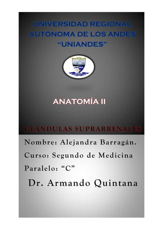 GLÁNDULAS SUPRARRENALES
Nombre: Alejandra Barragán.
Curso: Segundo de Medicina
Paralelo: “C”
Dr. Armando Quintana
UNIVERSIDAD REGIONAL
AUTÓNOMA DE LOS ANDES
“UNIANDES”
ANATOMÍA II
 