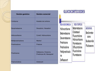 Nombre genérico   Nombre comercial



Cortisona                Acetato de cortona



Dexametasona             Decadron, Hexadrol



Hidrocortisona           Cortef, Hidrocortona


Metilprednisolona        Medrol

Prednisolona             Prelone



                         Deltasona, Orasona,
Prednisona
                         Prednicen-M, Sterapred



Triamcinolona            Aristocort
 