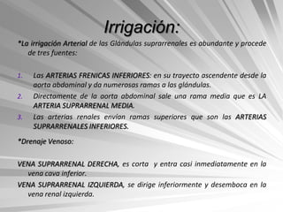 Irrigación:
*La irrigación Arterial de las Glándulas suprarrenales es abundante y procede
   de tres fuentes:

1.   Las ARTERIAS FRENICAS INFERIORES: en su trayecto ascendente desde la
     aorta abdominal y da numerosas ramas a las glándulas.
2.   Directamente de la aorta abdominal sale una rama media que es LA
     ARTERIA SUPRARRENAL MEDIA.
3.   Las arterias renales envían ramas superiores que son las ARTERIAS
     SUPRARRENALES INFERIORES.
*Drenaje Venoso:

VENA SUPRARRENAL DERECHA, es corta y entra casi inmediatamente en la
  vena cava inferior.
VENA SUPRARRENAL IZQUIERDA, se dirige inferiormente y desemboca en la
  vena renal izquierda.
 