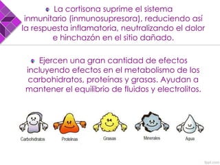 La cortisona suprime el sistema
inmunitario (inmunosupresora), reduciendo así
la respuesta inflamatoria, neutralizando el dolor
e hinchazón en el sitio dañado.
Ejercen una gran cantidad de efectos
incluyendo efectos en el metabolismo de los
carbohidratos, proteínas y grasas. Ayudan a
mantener el equilibrio de fluidos y electrolitos.
 