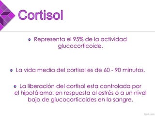 Representa el 95% de la actividad
glucocorticoide.
La vida media del cortisol es de 60 - 90 minutos.
La liberación del cortisol esta controlada por
el hipotálamo, en respuesta al estrés o a un nivel
bajo de glucocorticoides en la sangre.
 