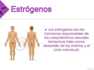 Los estrógenos son las
hormonas responsables de
las características sexuales
femeninas tales como
desarrollo de las mamas y el
ciclo menstrual.
 