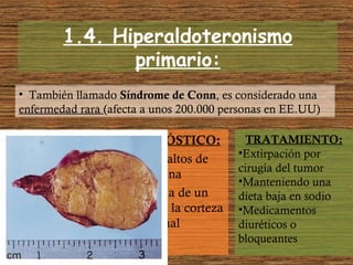 1.4. Hiperaldoteronismo
primario:
• También llamado Síndrome de Conn, es considerado una
enfermedad rara (afecta a unos 200.000 personas en EE.UU)
SÍNTOMAS:
•Fatiga
•Dolor de cabeza
•Presión alta
•Parálisis
intermitente
DIAGNÓSTICO:
•Niveles altos de
aldosterona
•Presencia de un
tumor en la corteza
suprarrenal
TRATAMIENTO:
•Extirpación por
cirugía del tumor
•Manteniendo una
dieta baja en sodio
•Medicamentos
diuréticos o
bloqueantes
 