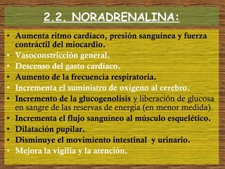 • Aumenta ritmo cardíaco, presión sanguínea y fuerza
contráctil del miocardio.
• Vasoconstricción general.
• Descenso del gasto cardíaco.
• Aumento de la frecuencia respiratoria.
• Incrementa el suministro de oxígeno al cerebro.
• Incremento de la glucogenolisis y liberación de glucosa
en sangre de las reservas de energía (en menor medida).
• Incrementa el flujo sanguíneo al músculo esquelético.
• Dilatación pupilar.
• Disminuye el movimiento intestinal y urinario.
• Mejora la vigilia y la atención.
2.2. NORADRENALINA:
 