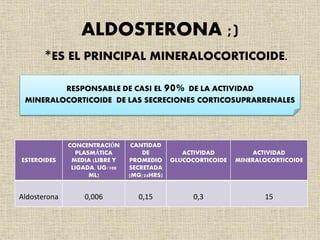 ALDOSTERONA ;)
*ES EL PRINCIPAL MINERALOCORTICOIDE.
RESPONSABLE DE CASI EL 90% DE LA ACTIVIDAD
MINERALOCORTICOIDE DE LAS SECRECIONES CORTICOSUPRARRENALES
ESTEROIDES
CONCENTRACIÓN
PLASMÁTICA
MEDIA (LIBRE Y
LIGADA, UG/100
ML)
CANTIDAD
DE
PROMEDIO
SECRETADA
(MG/24HRS)
ACTIVIDAD
GLUCOCORTICOIDE
ACTIVIDAD
MINERALOCORTICOIDE
Aldosterona 0,006 0,15 0,3 15
 