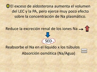 El exceso de aldosterona aumenta el volumen
del LEC y la PA, pero ejerce muy poco efecto
sobre la concentración de Na plasmático.
Reduce la excreción renal de los iones Na
SED
Reabsorbe el Na en el líquido x los túbulos
Absorción osmótica (Na/Agua)
 