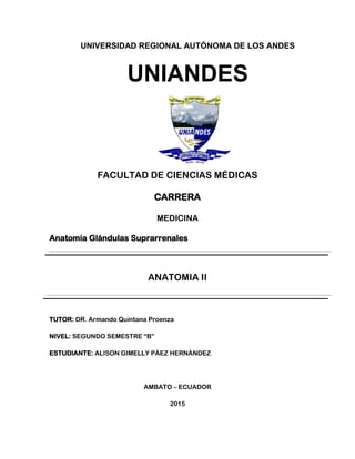 UNIVERSIDAD REGIONAL AUTÓNOMA DE LOS ANDES
UNIANDES
FACULTAD DE CIENCIAS MÉDICAS
CARRERA
MEDICINA
Anatomía Glándulas Suprarrenales
ANATOMIA II
TUTOR: DR. Armando Quintana Proenza
NIVEL: SEGUNDO SEMESTRE “B”
ESTUDIANTE: ALISON GIMELLY PÁEZ HERNÁNDEZ
AMBATO – ECUADOR
2015
 