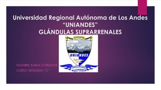 Universidad Regional Autónoma de Los Andes
“UNIANDES”
GLÁNDULAS SUPRARRENALES
NOMBRE: KARLA CÓRDOVA
CURSO: SEGUNDO “C”
 