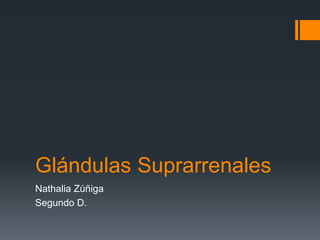 Glándulas Suprarrenales
Nathalia Zúñiga
Segundo D.
 