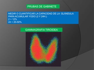 PRUBAS DE GABINETE
MEDIR O CUANTIFICAR LA CAPACIDAD DE LA GLÁNDULA
PARA ACUMULAR YODO (2 Y 24H.)
2 = 12%
24 = 20-50%
GAMMAGRAFIA TIROIDEA
 