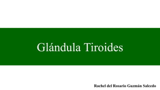 Glándula Tiroides
Rachel del Rosario Guzmán Salcedo
 
