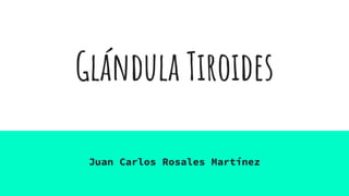Glándula Tiroides
Juan Carlos Rosales Martínez
 