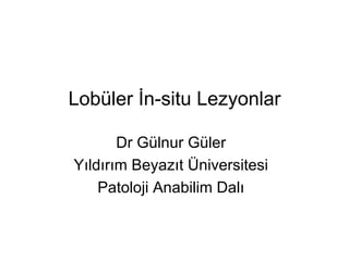 Lobüler İn-situ Lezyonlar

       Dr Gülnur Güler
Yıldırım Beyazıt Üniversitesi
    Patoloji Anabilim Dalı
 