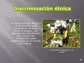 La discriminación étnica o
racial también está
presente en ámbitos
como el empleo, por
ejemplo las dificultades
que tienen los
inmigrantes para
incorporarse en el mundo
del trabajo.
Inmigrante trabajando en el
campo

 