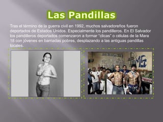 Tras el término de la guerra civil en 1992, muchos salvadoreños fueron
deportados de Estados Unidos. Especialmente los pandilleros. En El Salvador
los pandilleros deportados comenzaron a formar “clicas” o células de la Mara
18 con jóvenes en barriadas pobres, desplazando a las antiguas pandillas
locales.

 