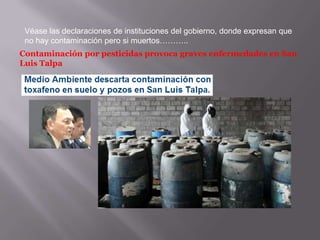 Véase las declaraciones de instituciones del gobierno, donde expresan que
no hay contaminación pero si muertos………..
Contaminación por pesticidas provoca graves enfermedades en San
Luis Talpa

 