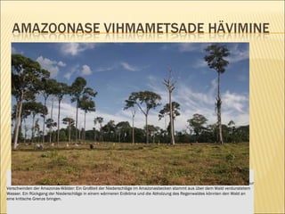 Dominik Baur Verschwinden der Amazonas-Wälder: Ein Großteil der Niederschläge im Amazonasbecken stammt aus über dem Wald verdunstetem Wasser. Ein Rückgang der Niederschläge in einem wärmeren Erdklima und die Abholzung des Regenwaldes könnten den Wald an eine kritische Grenze bringen.  