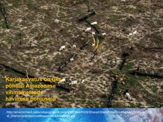 Karjakasvatus on üks põhilisi Amazonase  vihmametsade hävimise põhjuseidhttp://environment.nationalgeographic.com/staticfiles/NGS/Shared/StaticFiles/Environment/Images/Global_Warming/amazoncattlepasture-644883-ga.jpg