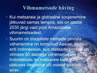 Vihmametsade hävingKui metsaraie ja globaalne soojenemine jätkuvad samas tempos, siis on aastal 2030 järgi vaid pool Amazonase vihmametsadest.Suurim on troopiliste metsade pindala vähenemine on toimunud Aasias, seda eriti Indoneesias, kus metsade pindala on viimase 50 aastaga vähenenud üle 40%. Indoneesias on metsaraie kuni 80% ulatuses illegaalne või osasid seadusi eirav.