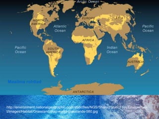 Maailma rohtladhttp://environment.nationalgeographic.com/staticfiles/NGS/Shared/StaticFiles/Environment/Images/Habitat/Grassland/map-world-grasslands-580.jpg
