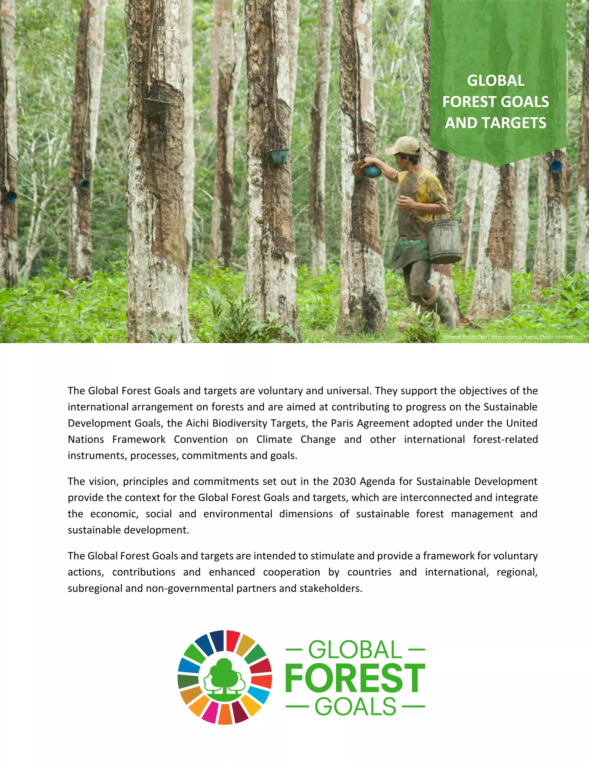 UNITED NATIONS STRATEGIC PLAN FOR FORESTS 2030 | PDF