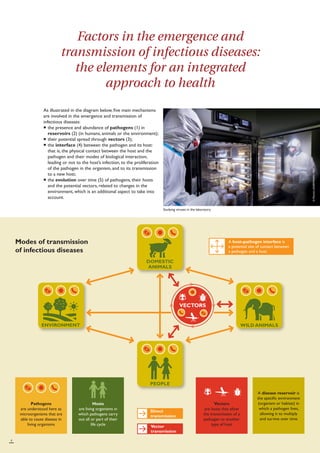Global health - People, animals, plants, the environment: towards an integrated approach to health Slide 6